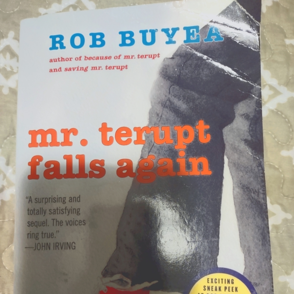 Mr. Terupt Falls Again book